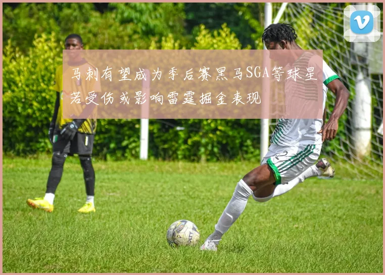马刺有望成为季后赛黑马SGA等球星若受伤或影响雷霆掘金表现